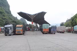 Phương tiện chở hàng xuất nhập khẩu tập kết tại khu vực sang tải trong lối thông quan Cốc Nam (Lạng Sơn). (Ảnh: Quang Duy/TTXVN)