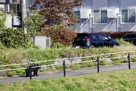 Gấu xuất hiện tại khu dân cư ở trung tâm thành phố Morioka, tỉnh Iwate, Nhật Bản ngày 23/10/2025. (Ảnh: Kyodo/TTXVN)