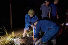 Cán bộ, chiến sĩ Trung đoàn 2, Sư đoàn 3 đóng quân trên địa bàn và nhân dân tổ chức ứng cứu, khắc phục sự cố ngay trong đêm. (Ảnh: TTXVN phát)