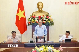 Chủ tịch Quốc hội Trần Thanh Mẫn phát biểu khai mạc Phiên họp. (Ảnh: Doãn Tấn/TTXVN)