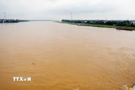 (Ảnh minh họa. Tạ Toàn/TTXVN)