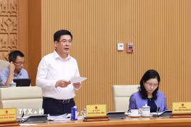 Bộ trưởng Bộ Công Thương Nguyễn Hồng Diên phát biểu tại một hội nghị. (Ảnh: Dương Giang/TTXVN)