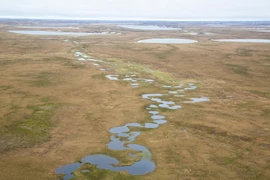 (Ảnh minh họa. Nguồn: Cục Quản lý Đất đai Hoa Kỳ)