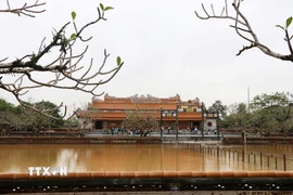 Đại Nội Huế mưa ngập đầu tháng 11/2025. (Ảnh: Nguyên Lý/TTXVN)