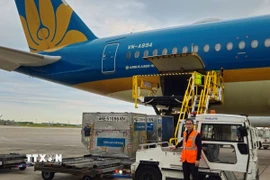 Những lô hàng vải thiều Hải Dương đầu tiên đã được hãng hàng không Vietnam Airlines chuyên chở đã hạ cánh tại sân bay quốc tế Charles de Gaulle của thủ đô Paris. (Ảnh: Nguyễn Thu Hà/TTXVN)