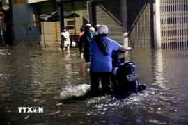 Ngập úng tại tuyến đường Lê Thị Hồng Gấm (phường Bình Thuận). (Ảnh: Nguyễn Thanh/TTXVN)