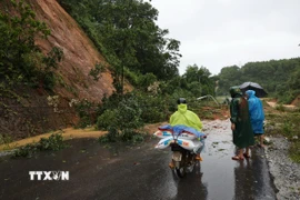(Ảnh minh họa. Anh Dũng/TTXVN)