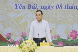 Bí thư Trung ương Đảng, Trưởng Ban Chính sách, chiến lược Trung ương Trần Lưu Quang kết luận tại buổi làm việc. (Ảnh: Tuấn Anh/TTXVN)