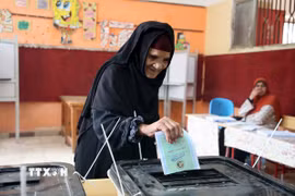 Cử tri bỏ phiếu trong cuộc bầu cử Hạ viện tại điểm bầu cử ở Giza, Ai Cập, ngày 10/11/2025. (Ảnh: THX/TTXVN)