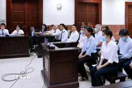 Toàn cảnh phiên xét xử phúc thẩm. (Ảnh: Hồng Giang/TTXVN)