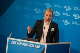 (Ảnh: Getty Images)