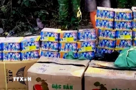 Phá vụ vận chuyển trái phép 165kg pháo hoa nổ qua biên giới tỉnh Quảng Ninh
