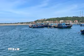 Âu cảng tại Đặc khu Bạch Long Vĩ. (Ảnh minh họa. Tiến Vĩnh/TTXVN)