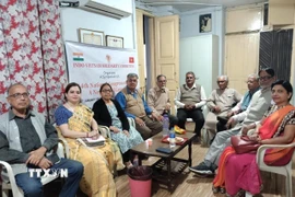 Các thành viên IVSC tham dự hội thảo. (Ảnh do IVSC cung cấp)