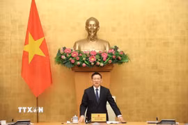 Phó Thủ tướng Hồ Đức Phớc, Trưởng Ban chỉ đạo Tổng điều tra nông nghiệp 2025 trung ương phát biểu. (Ảnh: Tuấn Anh/TTXVN)