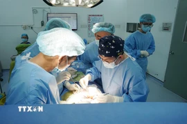 Các bác sỹ Bệnh viện Thống Nhất Thành phố Hồ Chí Minh thực hiện ghép thận cho bệnh nhân từ nguồn thận hiến của người chết não. (Ảnh: TTXVN phát)