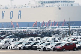 Ôtô chờ xuất khẩu tại cảng ở Pyeongtaek, phía nam thủ đô Seoul, Hàn Quốc. (Ảnh: Yonhap/TTXVN)
