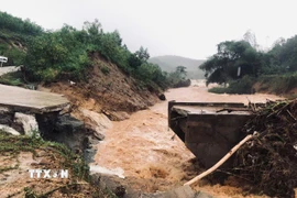 Nước lũ gây gãy Cầu Nước Bao xã Sơn Hà (Quảng Ngãi). (Ảnh: TTXVN phát)