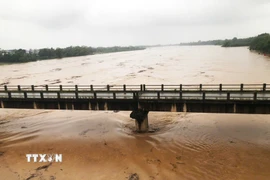 Sông Thạch Hãn đạt báo động 3 vào 12 giờ ngày 17/11. (Ảnh: Tường Vi/TTXVN)