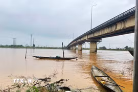  (Ảnh minh họa: Tường Vi/TTXVN.)