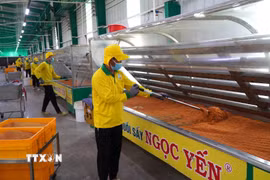 Công ty TNHH Sản xuất thực phẩm nông sản Ngọc Yến ứng dụng khoa học, công nghệ vào sản xuất. (Ảnh: Nhựt An/TTXVN)
