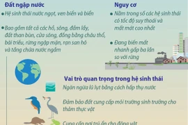 Ngày Đất ngập nước thế giới 2/2/2025: Đất ngập nước và Con người
