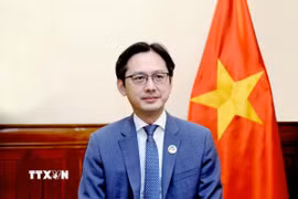 Đại sứ Đỗ Hùng Việt - Trưởng Phái đoàn thường trực Việt Nam tại Liên hợp quốc. (Ảnh: TTXVN phát)