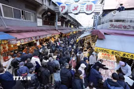 Người dân tại Tokyo, Nhật Bản. (Ảnh: Kyodo/TTXVN)