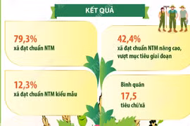 Kết quả nổi bật của phong trào “Cả nước chung sức xây dựng nông thôn mới” 