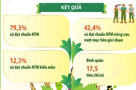 Kết quả nổi bật của phong trào “Cả nước chung sức xây dựng nông thôn mới” 