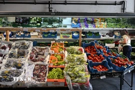 Người dân mua sắm tại siêu thị ở Vienna, Áo. (Ảnh: THX/TTXVN)