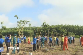 Phát động trồng cây xanh. (Ảnh: K GỬIH/TTXVN)