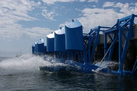 Năng lượng sóng được đánh giá là một nguồn tài nguyên tái tạo dồi dào và ổn định. . (Ảnh: AFP)