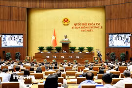 Quang cảnh phiên họp. (Ảnh: Doãn Tấn/TTXVN)