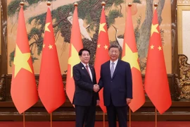 Chủ tịch nước Lương Cường và Tổng Bí thư, Chủ tịch nước Trung Quốc Tập Cận Bình chụp ảnh chung. (Ảnh: Lâm Khánh/TTXVN)