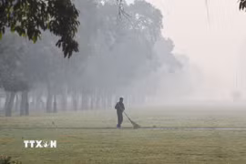 Ô nhiễm không khí nghiêm trọng tại New Delhi, Ấn Độ. (Ảnh: ANI/TTXVN)