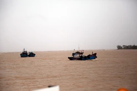 Huy động tàu cá tổ chức tìm kiếm các nạn nhân mất tích trên hai tàu cá bị chìm. (Ảnh: Tá Chuyên/TTXVN)