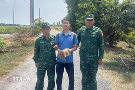 Đối tượng Nguyễn Mạnh Dư (đối tượng bị truy nã) bị Đồn Biên phòng Cửa khẩu Quốc tế Mộc Bài bắt giữ khi đang nhập cảnh trái phép. (Ảnh: TTXVN phát)