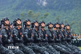 Khối diễu duyệt tổng hợp luyện. (Ảnh: Tuấn Anh/TTXVN)