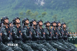 Khối diễu duyệt tổng hợp luyện. (Ảnh: Tuấn Anh/TTXVN)