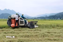 Việc đẩy mạnh cơ giới hóa nông nghiệp giúp người dân thay đổi nhận thức trong ứng dụng khoa học kỹ thuật và nâng cao hiệu quả kinh tế. (Ảnh: Đình Thùy/TTXVN)