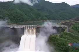 Đây là trận lũ đặc biệt lớn, vượt tần suất lũ kiểm tra (lũ kiểm tra của công trình thủy điện Bản Vẽ có lưu lượng là 10.500 m3/s).