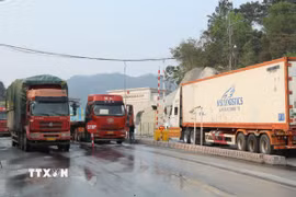 Hoạt động xuất nhập khẩu qua cửa khẩu quốc tế Hữu Nghị (Lạng Sơn) diễn ra sôi động. (Ảnh: Quang Duy/TTXVN)