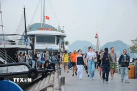 Quảng Ninh đón lượng lớn du khách tham quan, tìm hiểu vẻ đẹp tự nhiên của Vịnh Hạ Long. (Ảnh: Hoàng Hiếu/TTXVN)