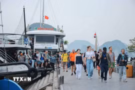 Quảng Ninh đón lượng lớn du khách tham quan, tìm hiểu vẻ đẹp tự nhiên của Vịnh Hạ Long. (Ảnh: Hoàng Hiếu/TTXVN)