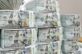 Kiểm đồng USD. (Ảnh: TTXVN)
