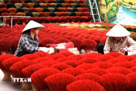 Sản xuất hương truyền thống ở Quảng Phú Cầu. (Ảnh: Thành Phương/TTXVN)