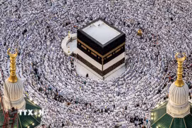 Các tín đồ Hồi giáo cầu nguyện tại Đền thờ Lớn ở thánh địa Mecca, Saudi Arabia trước lễ hành hương Hajj, ngày 11/6/2024. (Ảnh: AFP/TTXVN)