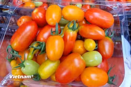 (Ảnh: Vietnam+)
