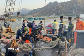 Lực lượng cứu hộ cứu nạn làm việc trên tàu Trường Nguyên 8. (Ảnh: TTXVN phát)